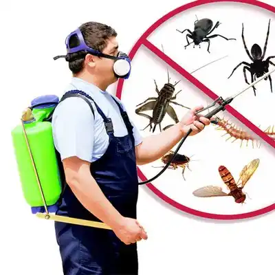 pest control Monroe City